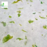 carta Petali verde carta Petali verde