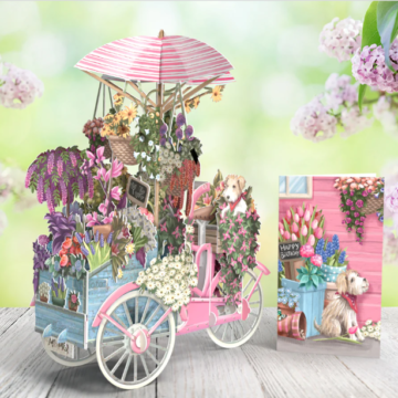 The Flower Seller's BIcYcle 3D Pop up